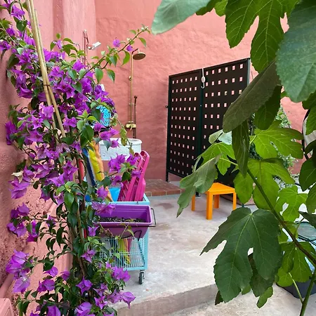 Genius Loci Cozy House With Garden In The Old Town Apartment