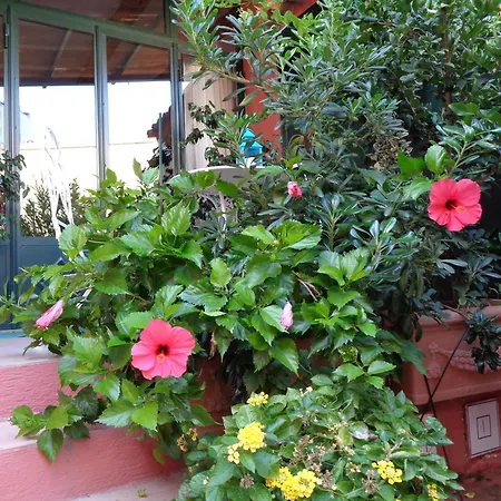 Genius Loci Cozy House With Garden In The Old Town Apartamento Olbia