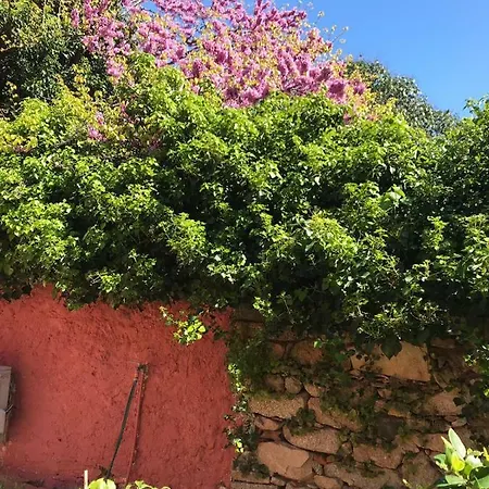 Genius Loci Cozy House With Garden In The Old Town Olbia