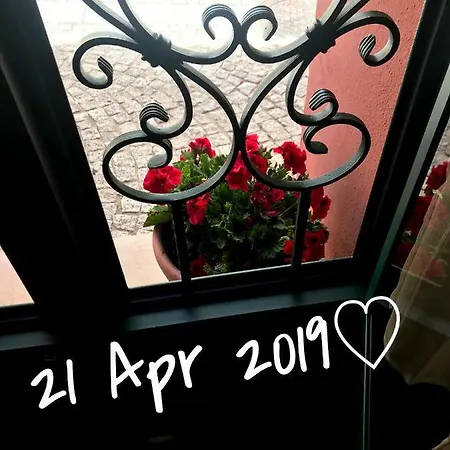 Apartment Genius Loci Cozy House With Garden In The Old Town Olbia